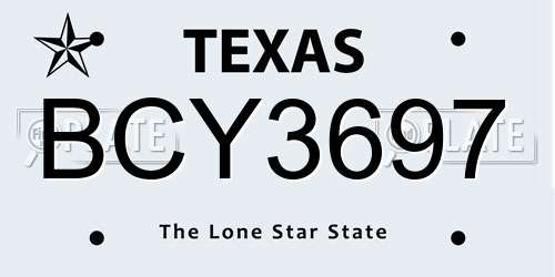 BCY3697 Texas License Plate