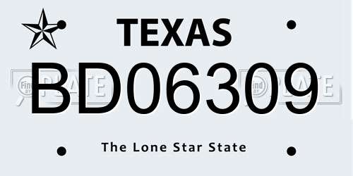 BD06309 Texas License Plate