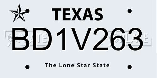 BD1V263 Texas License Plate