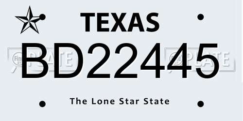BD22445 Texas License Plate