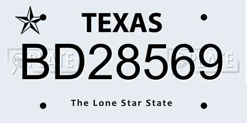BD28569 Texas License Plate