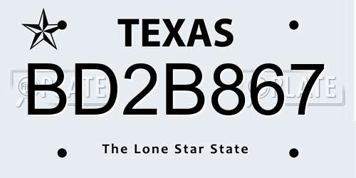 BD2B867 Texas License Plate