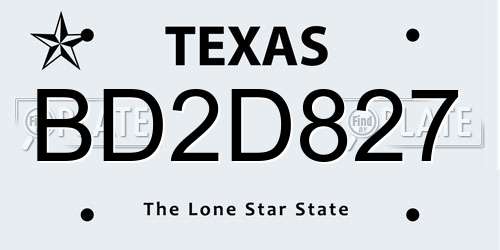 BD2D827 Texas License Plate