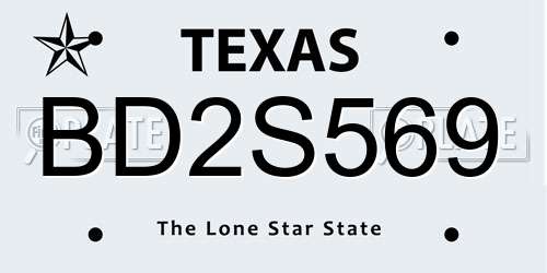 BD2S569 Texas License Plate