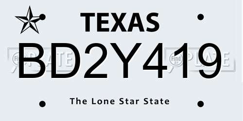 BD2Y419 Texas License Plate
