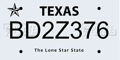BD2Z376 Texas License Plate