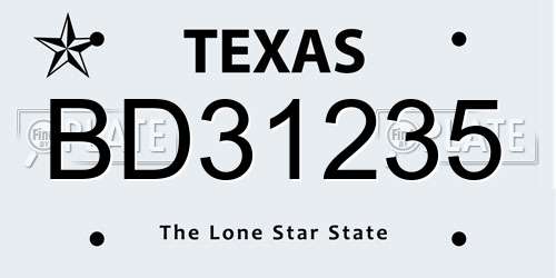 BD31235 Texas License Plate