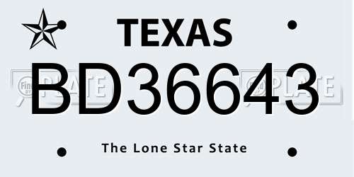 BD36643 Texas License Plate