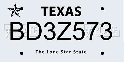 BD3Z573 Texas License Plate