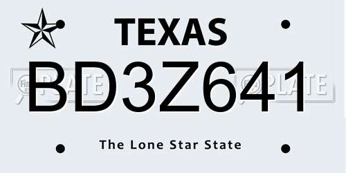 BD3Z641 Texas License Plate