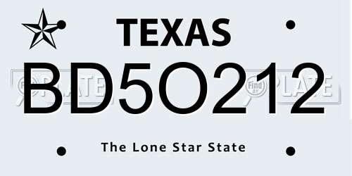 BD5O212 Texas License Plate