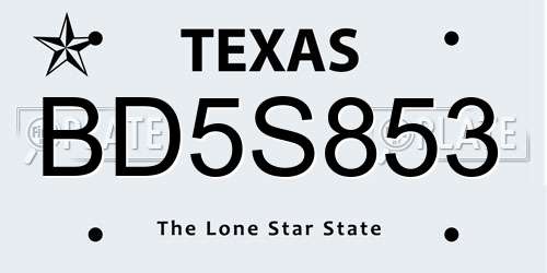 BD5S853 Texas License Plate