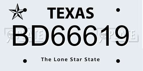 BD66619 Texas License Plate