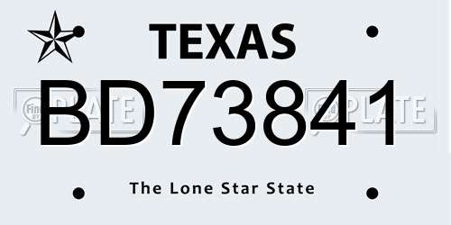 BD73841 Texas License Plate