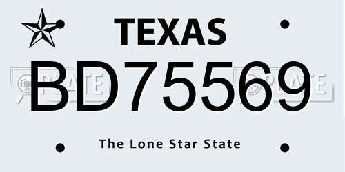 BD75569 Texas License Plate