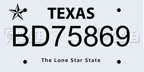 BD75869 Texas License Plate