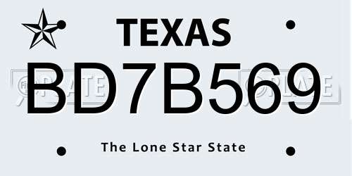 BD7B569 Texas License Plate