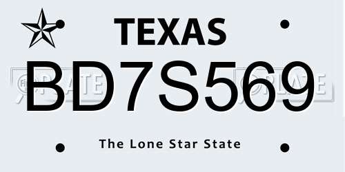 BD7S569 Texas License Plate
