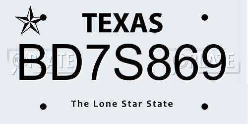 BD7S869 Texas License Plate