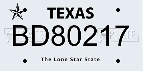 BD80217 Texas License Plate