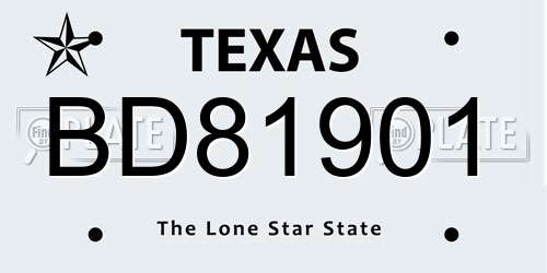BD81901 Texas License Plate