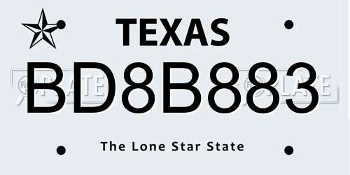 BD8B883 Texas License Plate
