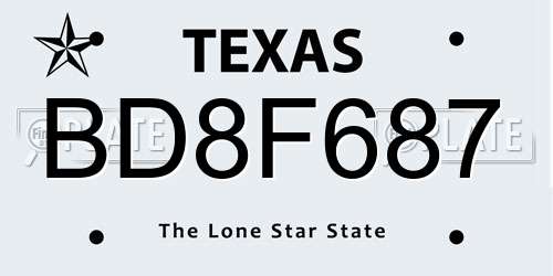 BD8F687 Texas License Plate