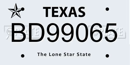 BD99065 Texas License Plate