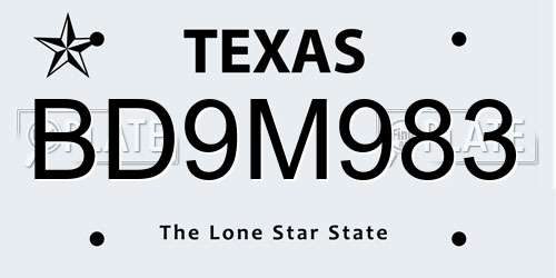 BD9M983 Texas License Plate