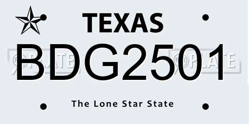 BDG2501 Texas License Plate