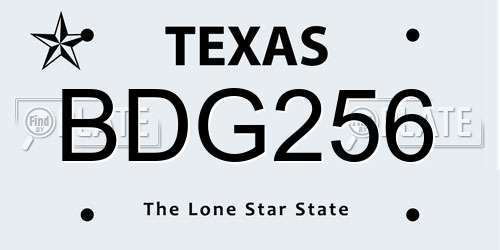BDG256 Texas License Plate