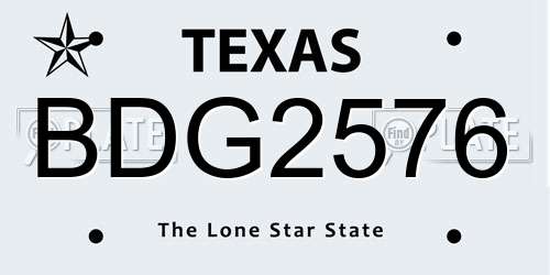 BDG2576 Texas License Plate