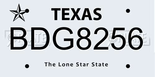 BDG8256 Texas License Plate
