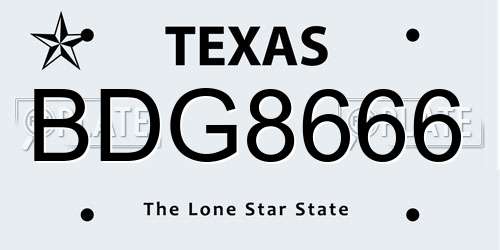 BDG8666 Texas License Plate