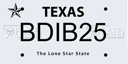 BDIB25 Texas License Plate