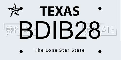 BDIB28 Texas License Plate