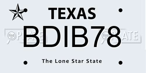 BDIB78 Texas License Plate