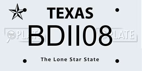 BDII08 Texas License Plate