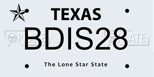 BDIS28 Texas License Plate