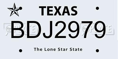 BDJ2979 Texas License Plate
