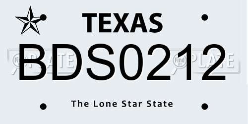 BDS0212 Texas License Plate