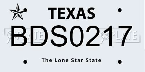 BDS0217 Texas License Plate