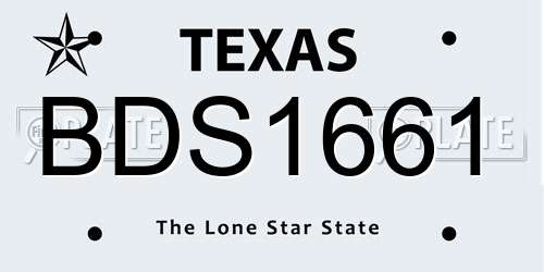 BDS1661 Texas License Plate