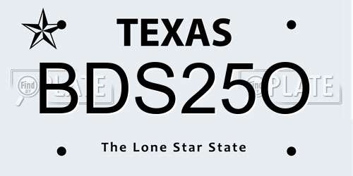 BDS25O Texas License Plate