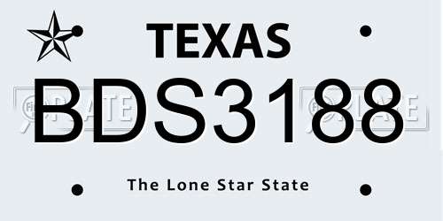 BDS3188 Texas License Plate