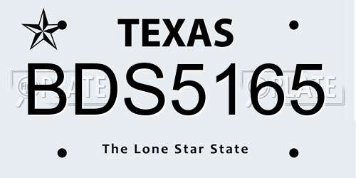 BDS5165 Texas License Plate