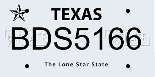 BDS5166 Texas License Plate