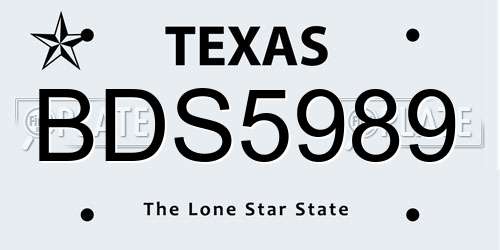 BDS5989 Texas License Plate