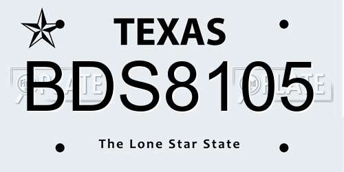BDS8105 Texas License Plate