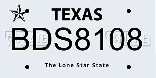 BDS8108 Texas License Plate
